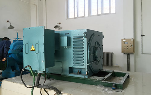 陇川某水电站工程主水泵使用我公司高压电机