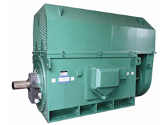 陇川Y系列6KV高压电机